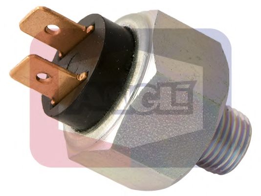 ANGLI 487