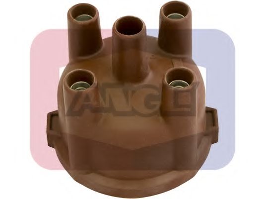 ANGLI 2313