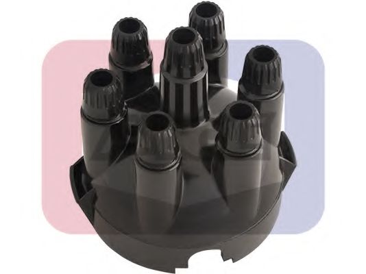 ANGLI 2427