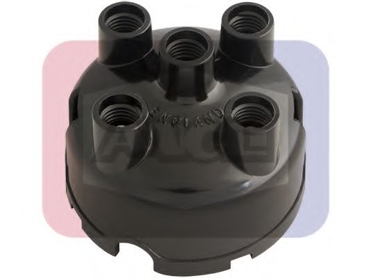 ANGLI 2428