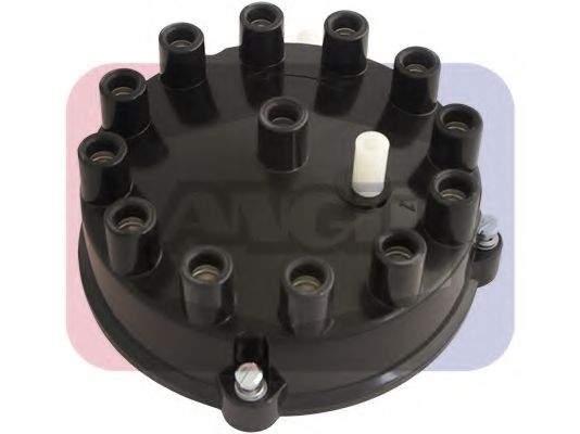 ANGLI 2432