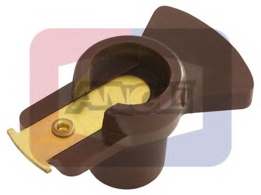 ANGLI 3251