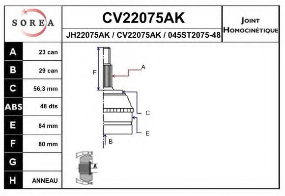 EAI CV22075AK