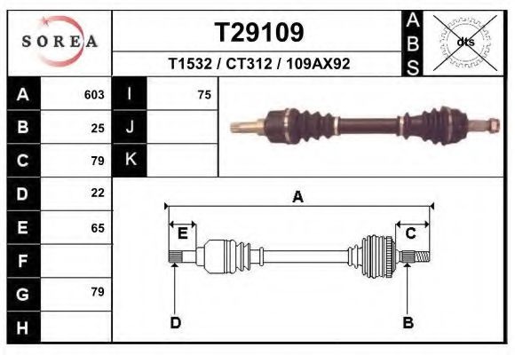 EAI T29109