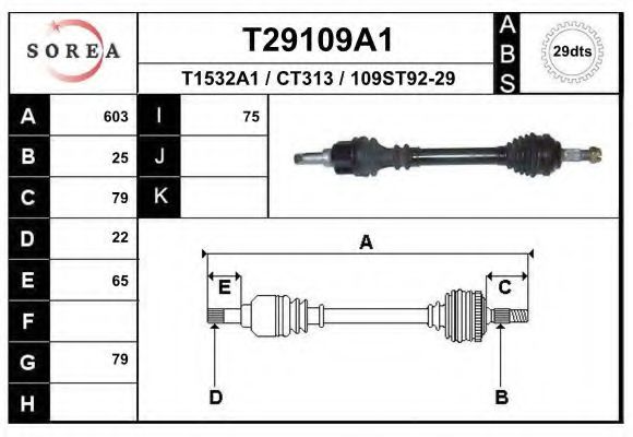 EAI T29109A1