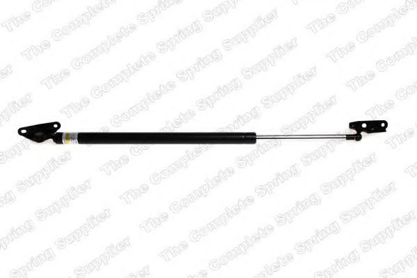 ROC GS1203