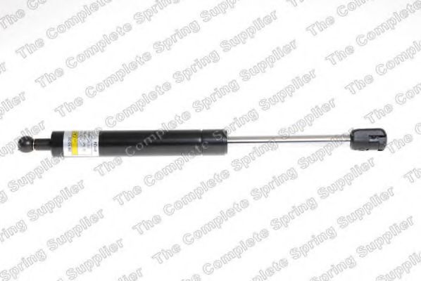 ROC GS1171