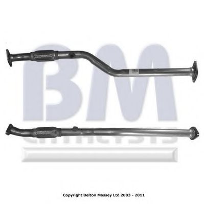 BM CATALYSTS BM50166