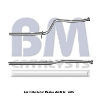 BM CATALYSTS BM50001