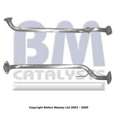 BM CATALYSTS BM50058