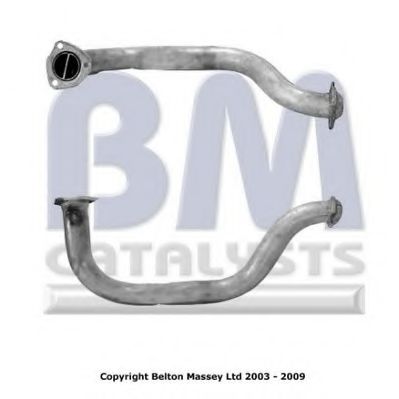 BM CATALYSTS BM70118
