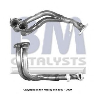 BM CATALYSTS BM70318