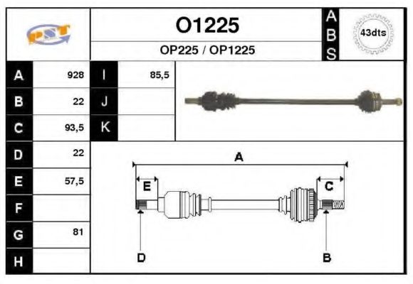 SNRA O1225