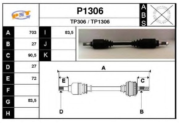 SNRA P1306