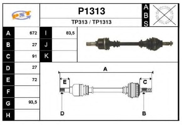 SNRA P1313