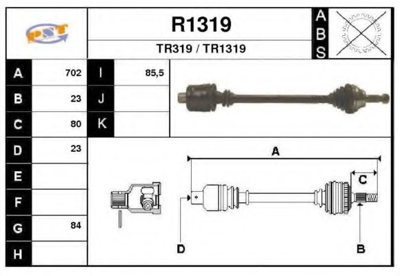 SNRA R1319