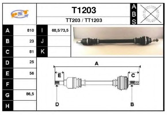 SNRA T1203