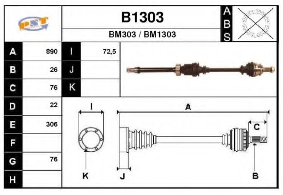 SNRA B1303