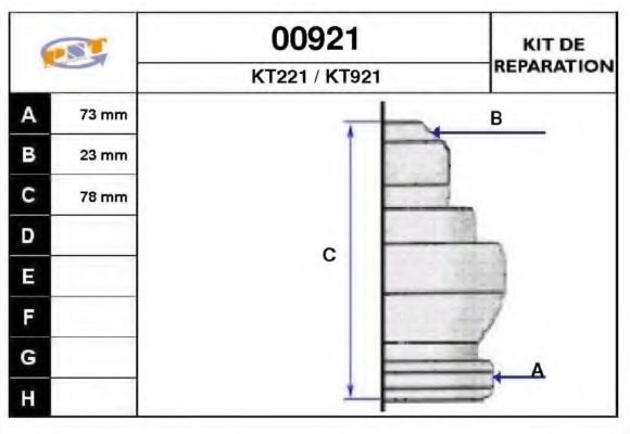 SNRA 00921