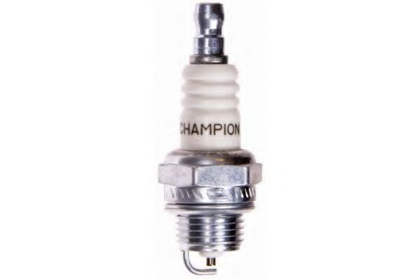 CHAMPION CJ7Y/W24
