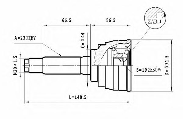 STATIM C.003
