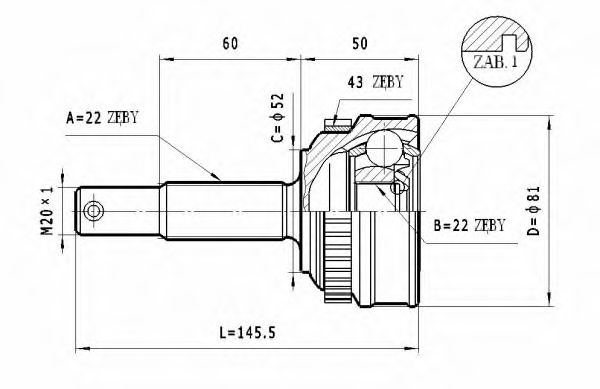 STATIM C.247