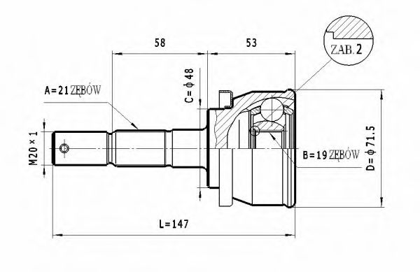 STATIM C.508