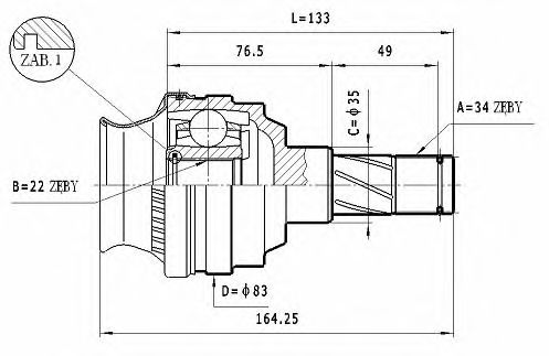 STATIM CW.035