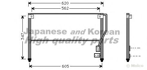 ASHUKI M559-64