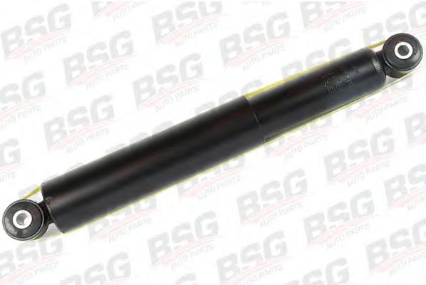 BSG BSG 30-300-001