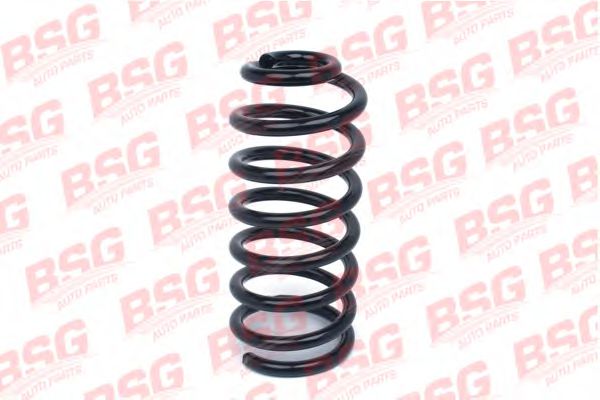 BSG BSG 30-305-010