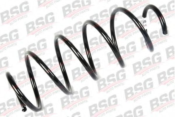 BSG BSG 30-305-021