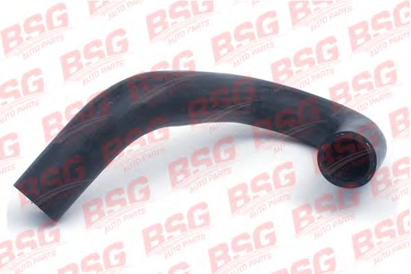 BSG BSG 30-720-024