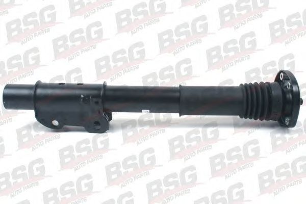 BSG BSG 60-300-020