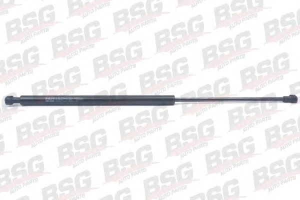 BSG BSG 70-980-012
