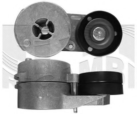 CALIBER 30269 CALIBER 30269