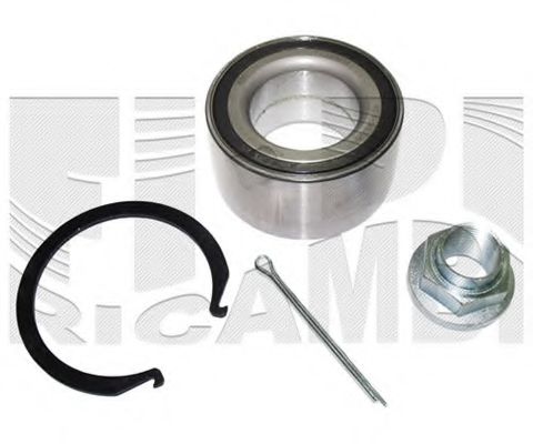 CALIBER RC2668 CALIBER RC2668