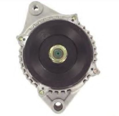 LAUBER 11.1119 LAUBER 11.1119