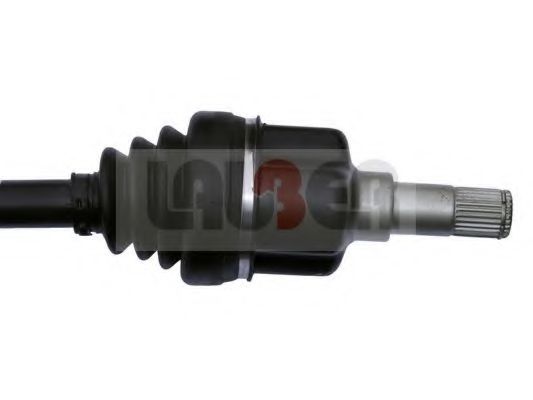 LAUBER 88.0365