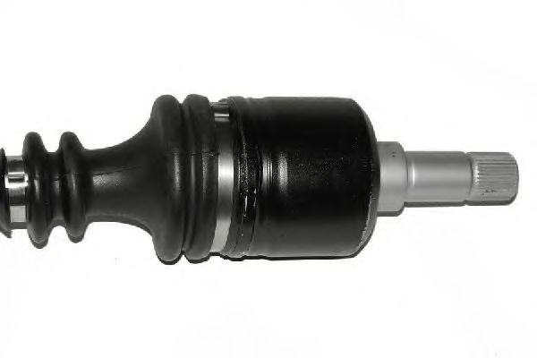 LAUBER 88.2618