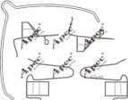APEC braking KIT441