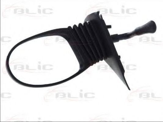 BLIC 5402-04-1138911P