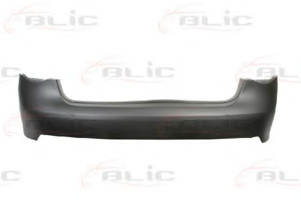 BLIC 5506-00-9544950P