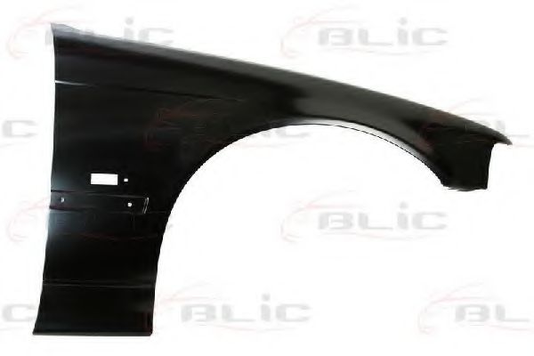 BLIC 6504-04-0060314P