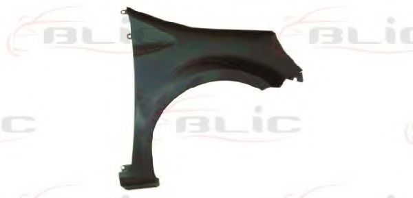 BLIC 6504-04-6007312P