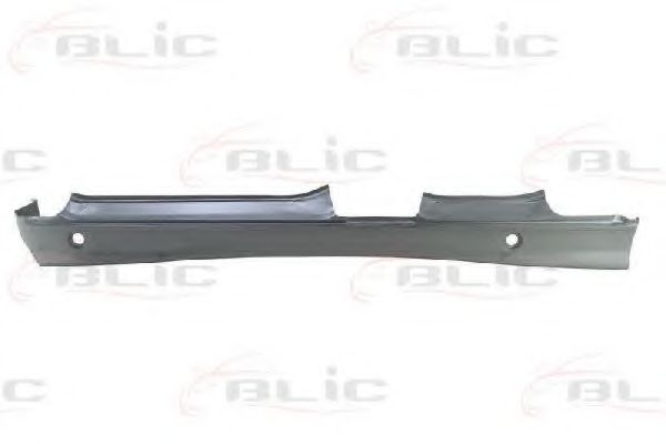 BLIC 6505-06-0060011P