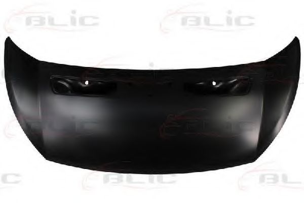 BLIC 6803-00-0557280P