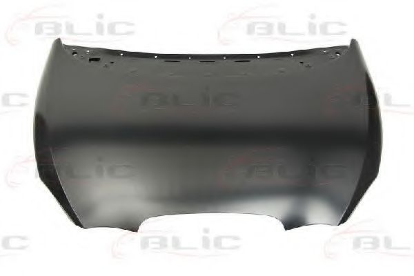 BLIC 6803-00-6613280P