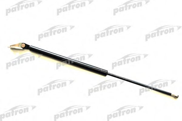PATRON PGS1013