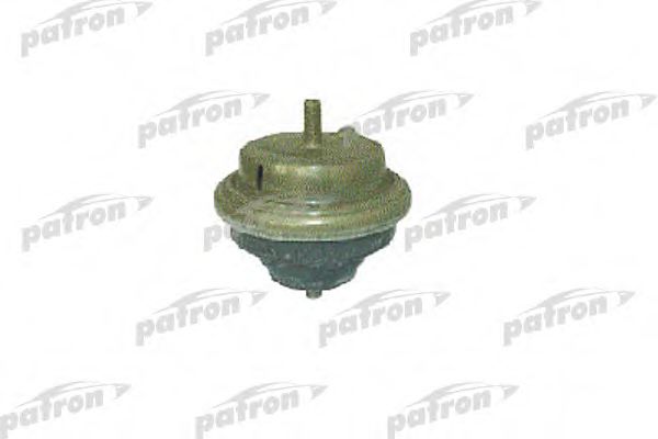 PATRON PSE3010